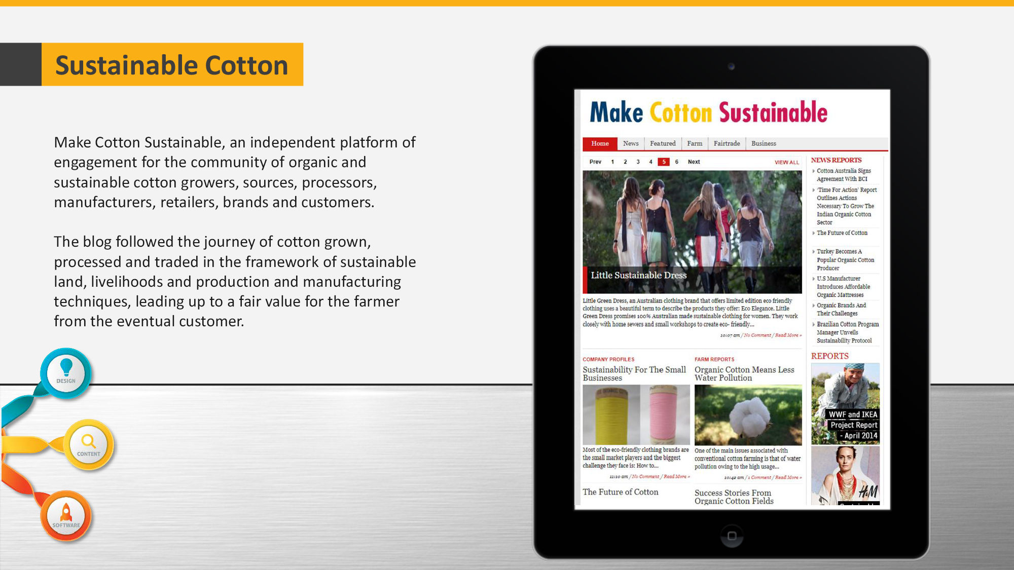 Portfolio Item sustainable business